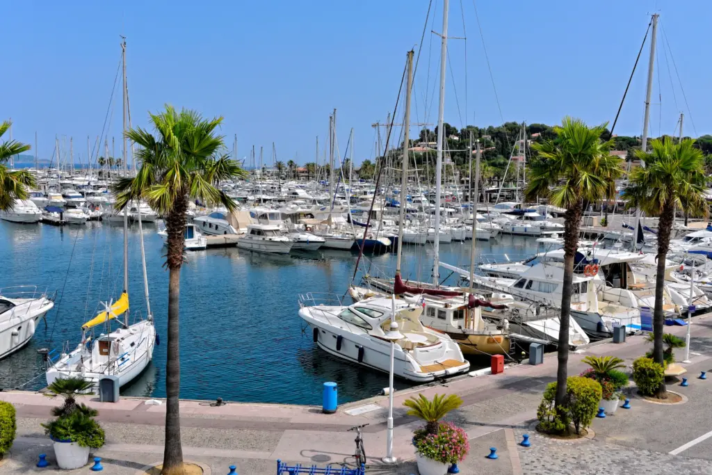 Port de plaisance avec yachts et palmiers