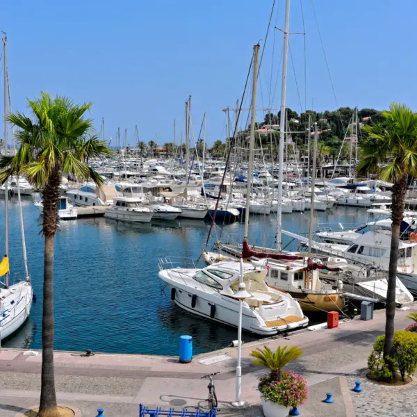 Port de plaisance avec yachts et palmiers