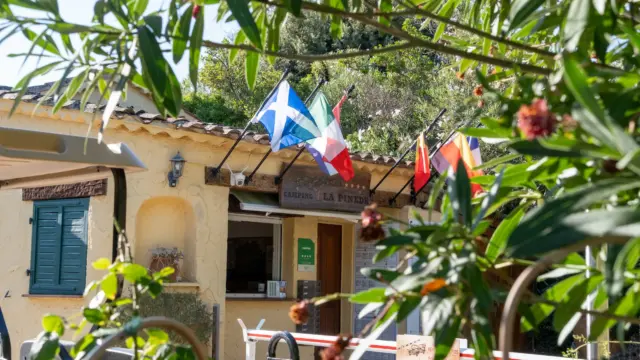 Entrée du camping La Pinède avec drapeaux