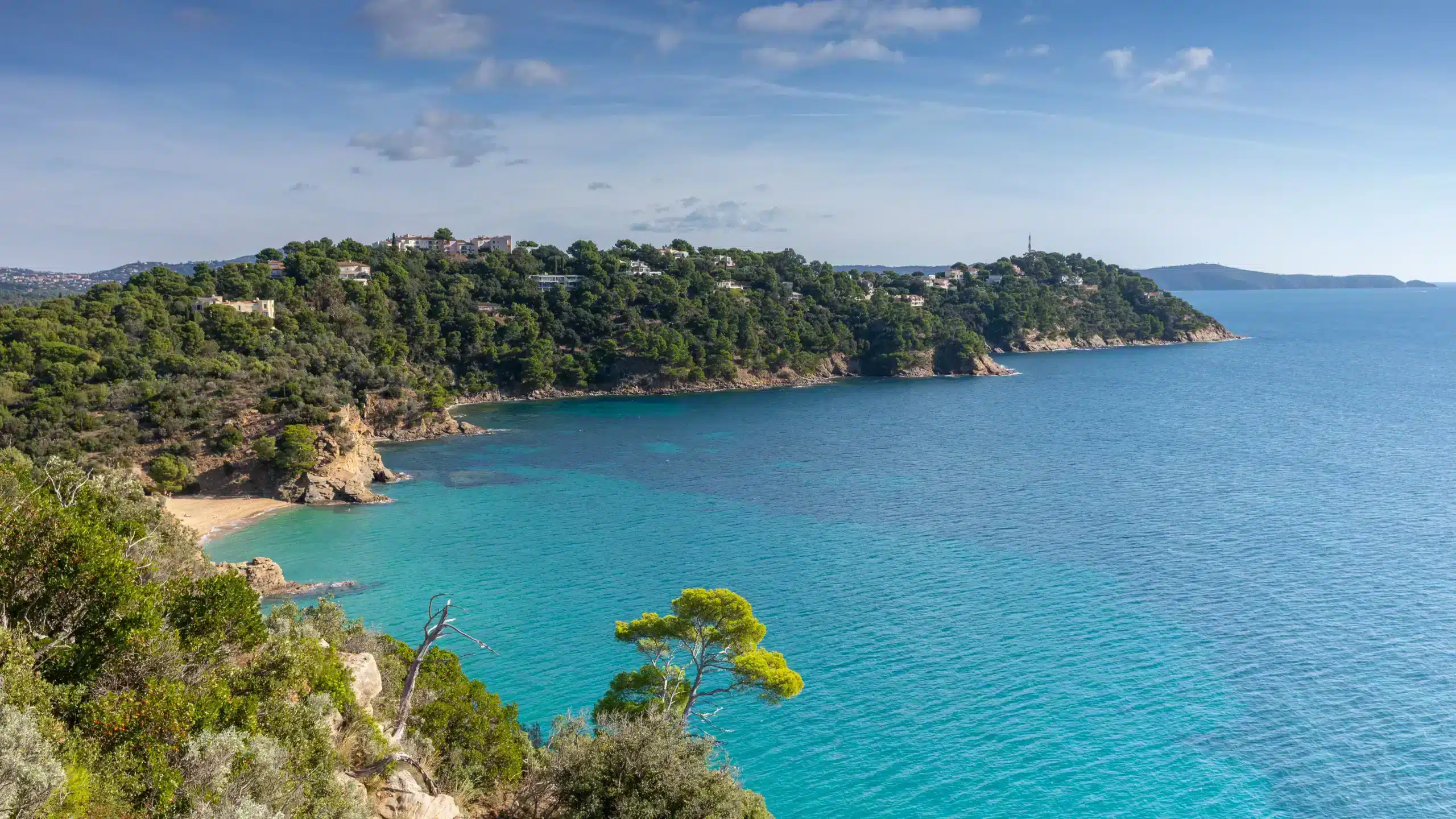 Crique turquoise bordée de collines boisées