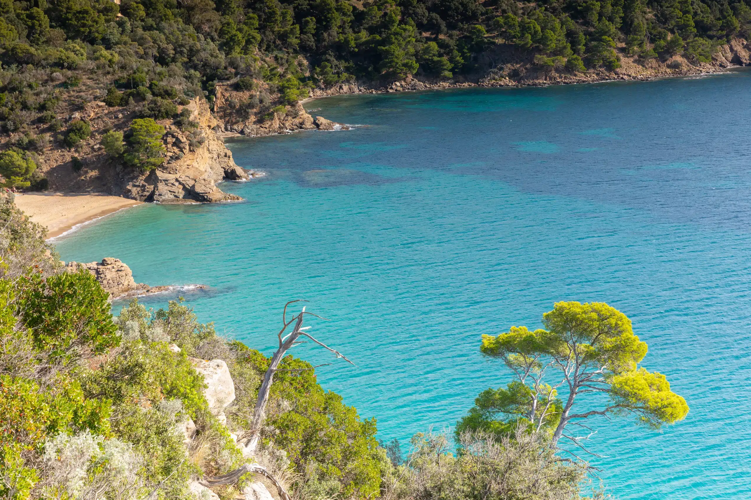 Crique turquoise bordée de falaises et pins
