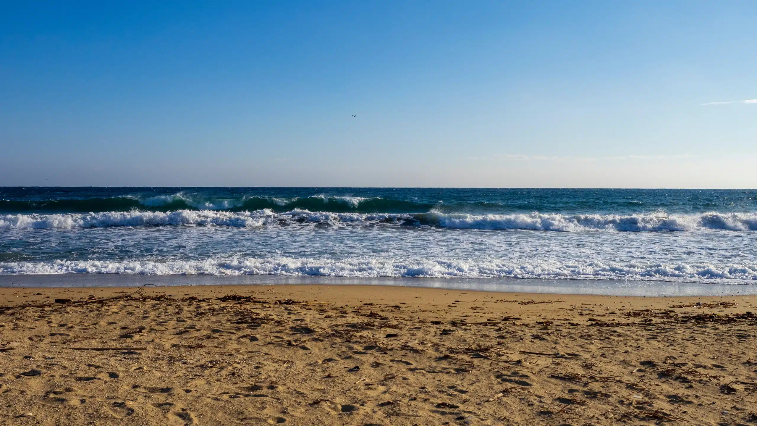 Plage de sable avec vagues sous ciel bleu