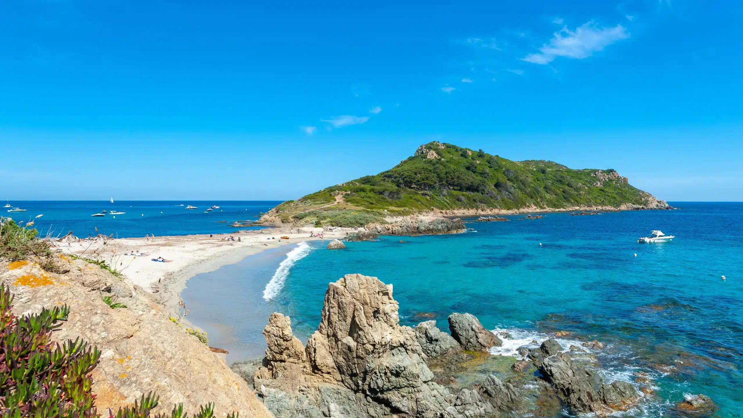 Plage turquoise et îlot verdoyant sous ciel bleu