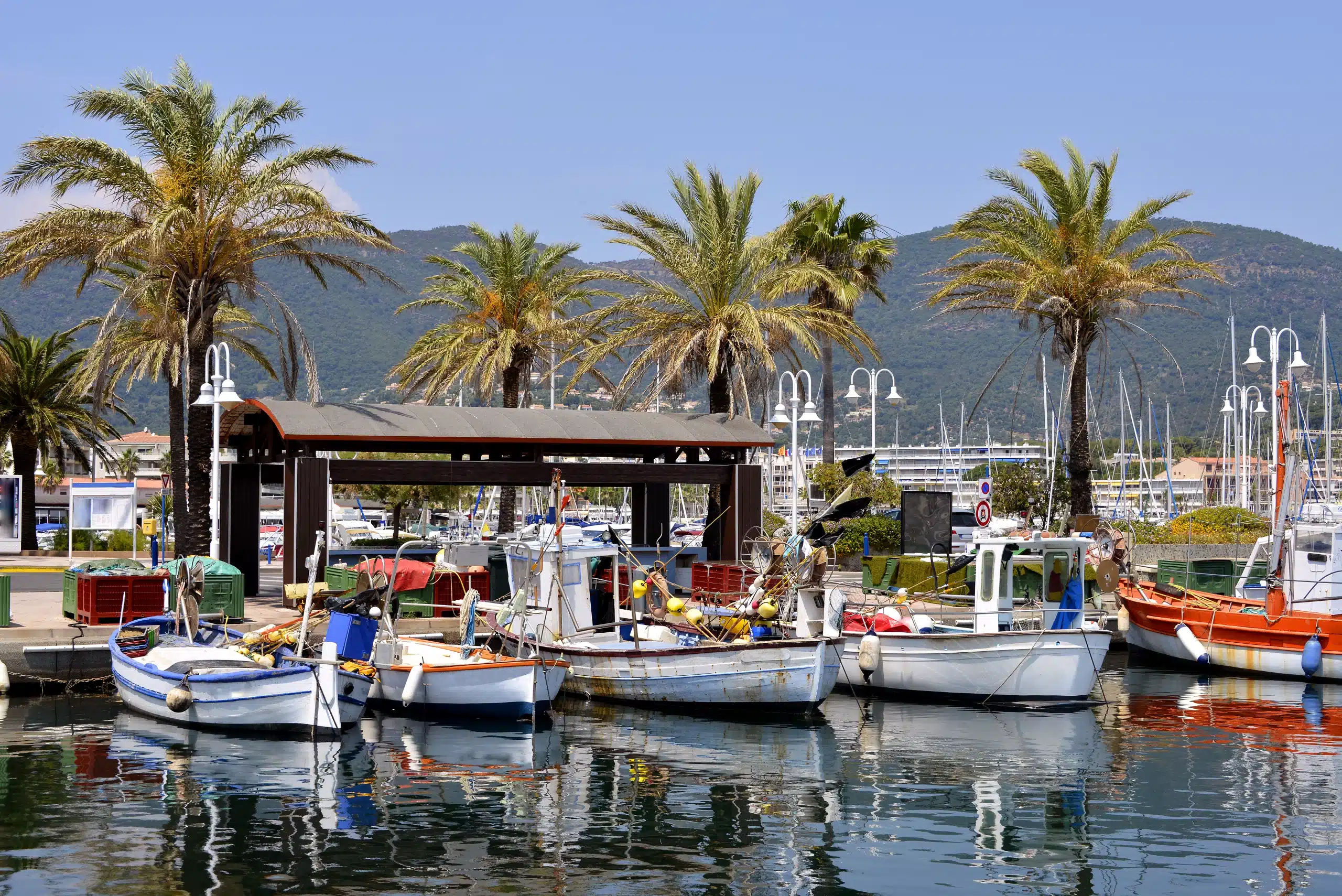 Barques de pêche amarrées au port méditerranéen