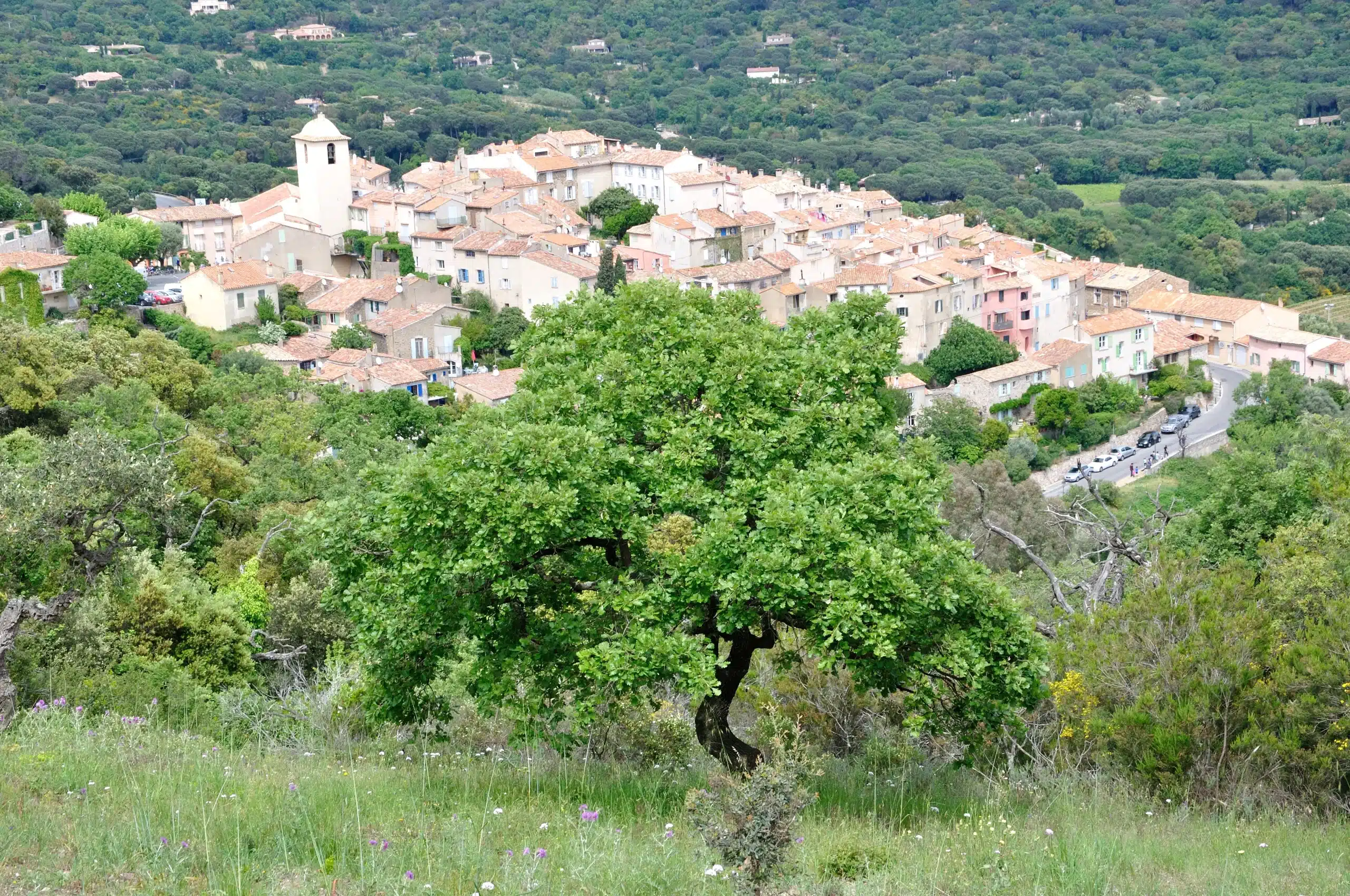 Village provençal entouré de verdure et collines