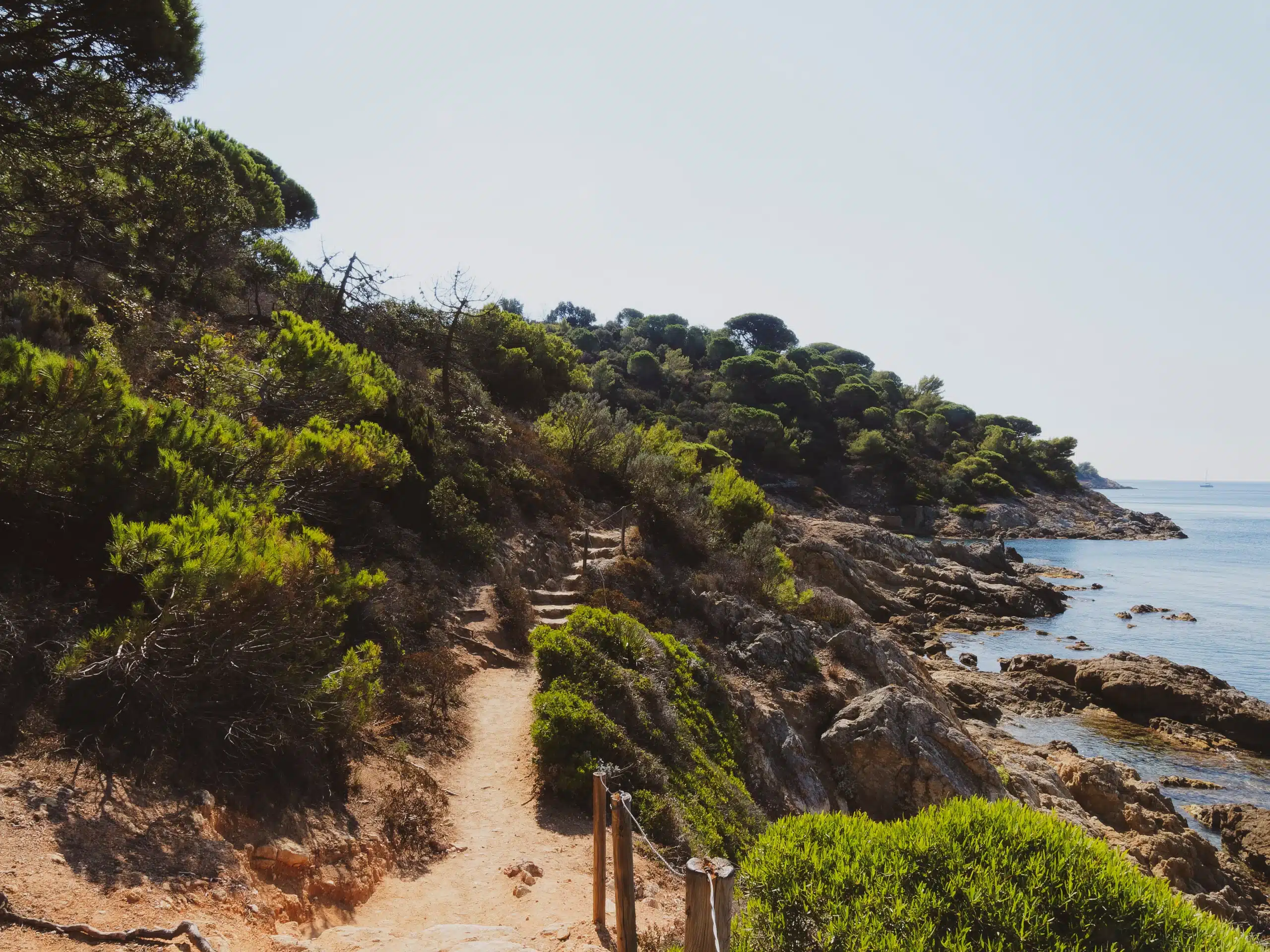 Sentier côtier rocheux bordé de pins et mer