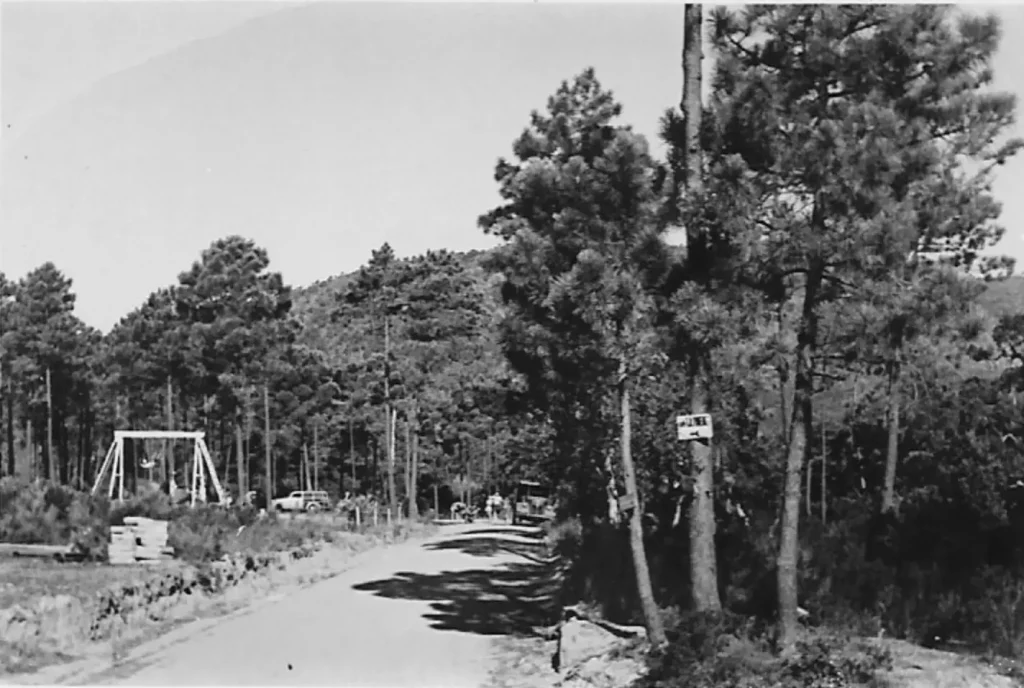 Route forestière avec pont et voitures anciennes